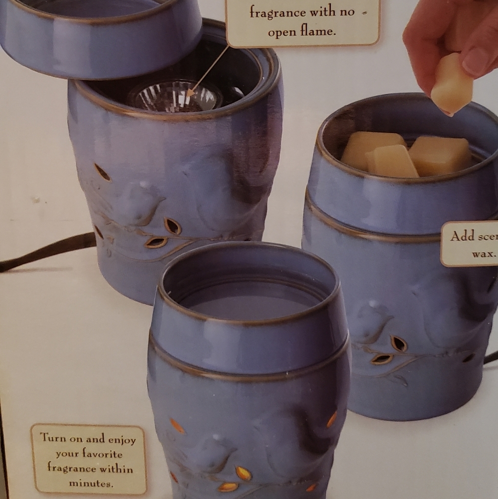 Fragrance warmer
